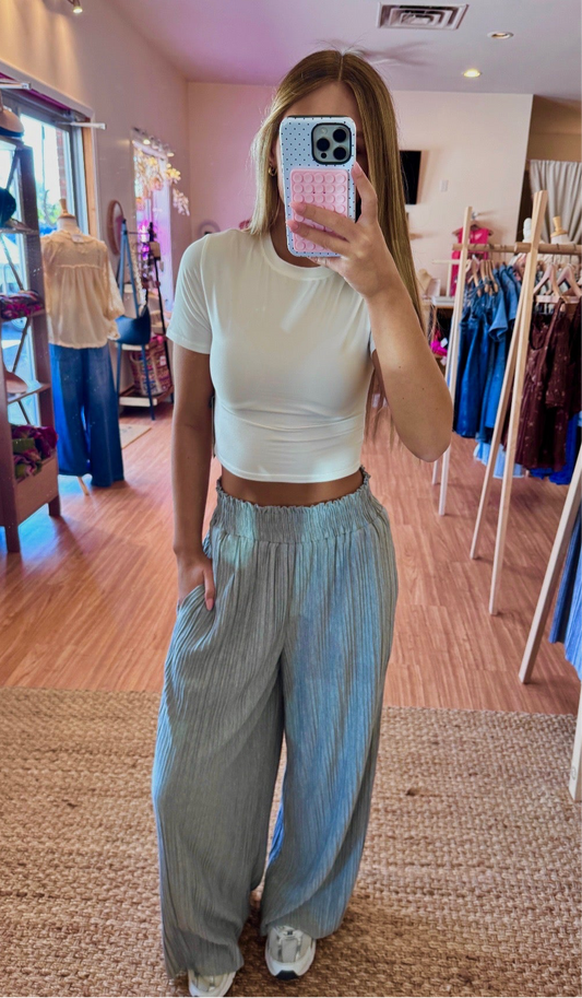 Dedicated Pants in Grey
