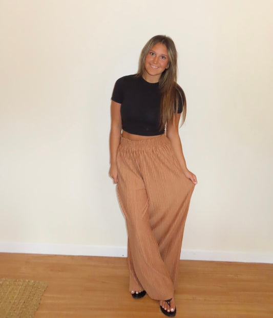 Dedicated Pants in Camel