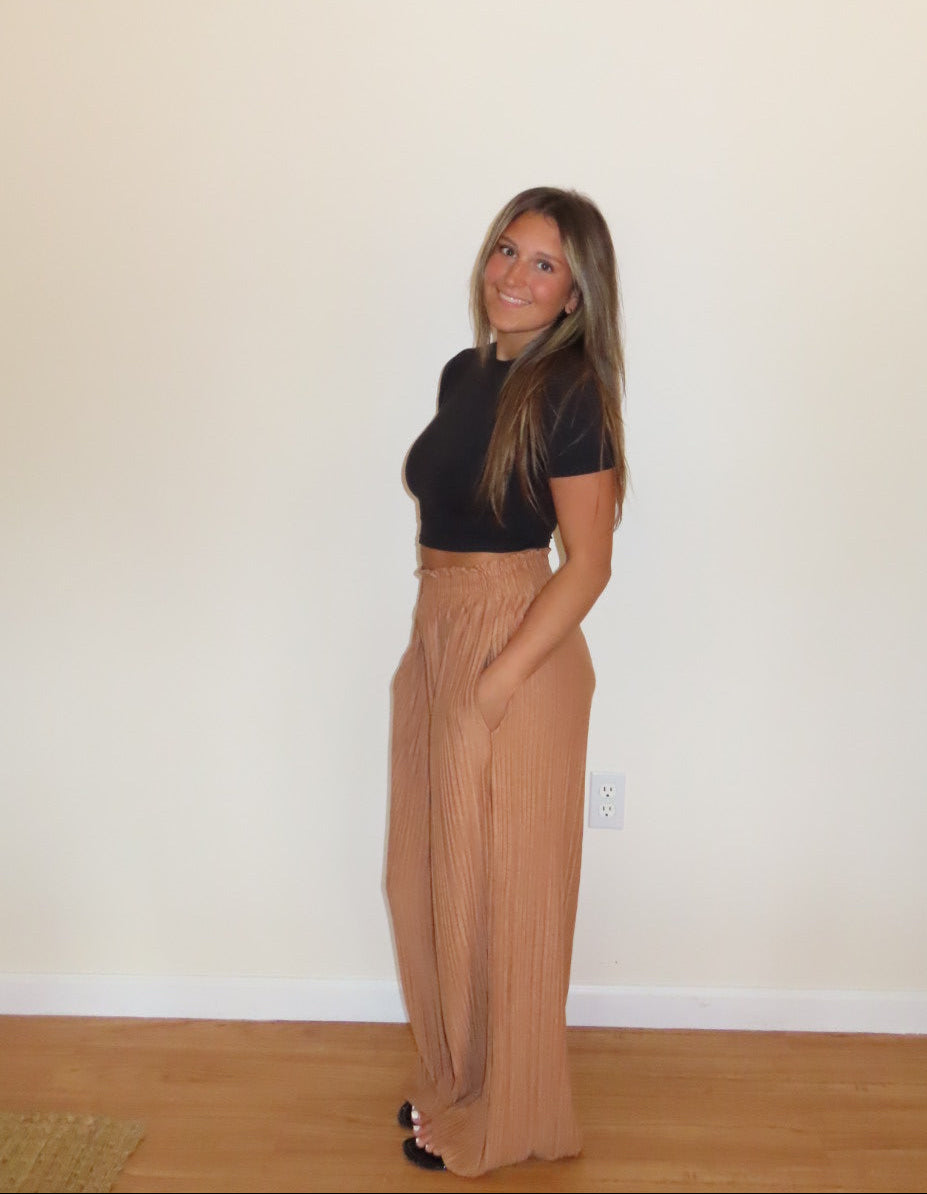 Dedicated Pants in Camel