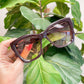 Becca Acetate Square Sunglasses